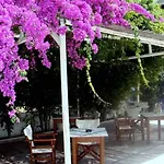 Vergina
